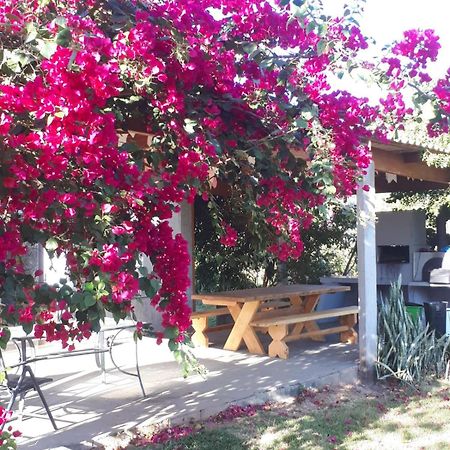Reserva Jasmim Manga Villa Pirenópolis Exterior foto